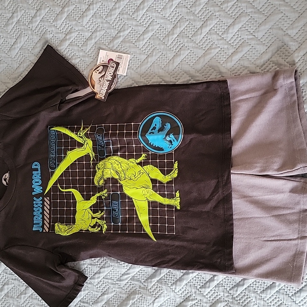 Kids Set  T-Shirt And Shorts - Black with Green Dinosaur Print